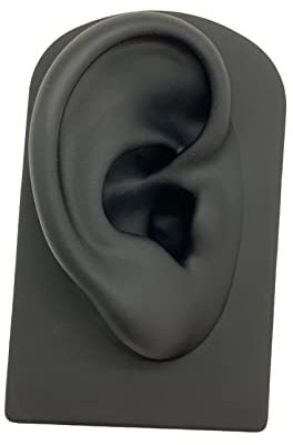 Modèle d'oreille, Oreille Modèle Prop Oreille Outil Piercing Exercice Boucle d'oreille Outil D'affichage de Goujon d'oreille, pour Outils Pédagogiques Affichage Bijoux Boucles d'oreilles, Le Noir