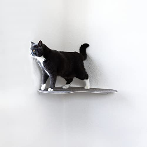 LucyBalu® Loggia Katzen Wandliege mit Filzauflage für Ecken | Katzenliege für Wandecke | Katzen Wand Liegeplatz | Katzenmöbel für Katzen Kletterwand | Katzenregal | Katzenbett für Wandecke | Weiß