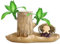 Kuehssn Brasil Madera de la Suerte, Brasil Lucky Bamboo, hidroponía Planta en Maceta tocón, Tronco de Madera brotante, Planta de Interior Oficina Escritorio Planta decoración