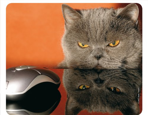 CHAT ET SOURIS Tapis de souris animal drôle - avec de qualité en caoutchouc spécial extrêmement résistant à la déchirure et une face inférieure fortement adhésive pour une tenue optimale