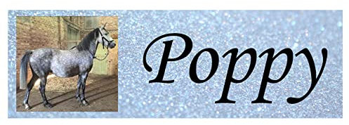 Personalised Stable Door Sign, Horse/Pony Name Plate Plaque Metal Sign Nameplate Glitter
