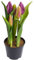 Nova-Nature künstliches Tulpenarrangement mit 5 Blütenknospen im schwarzen Kunststofftopf real Touch (aubergine), 12 x 23 cm