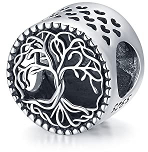 Charm Ciondoli per Bracciali in Argento Sterling 925 Albero della Vita Bead Charm Compatibili con Pandora e Bracciale Europeo, Gioielli Regalo per Donne Ragazza Mamma (E-Albero della Vita Bead Charm)
