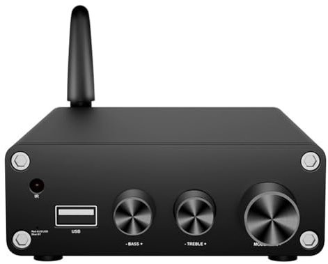 Rordigo TPA3116 Bluetooth 5.3 Digital Power Amplifier HiFi Stereo Power Amplifier Audio Amplifier USB Decoder 50W+50W Easy Install Easy to Use A