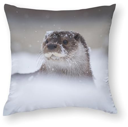Zhimahou Kissenbezüge, Hochformat Otter im Winter im Schnee, Stuhlkissen, Sofakissen, Sitzkissen, Bettkissenbezug, 80 x 80 cm