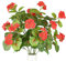 Gresorth 4 Bündel Künstliche Begonie Blume Zweigstelle Dekoration Gefälschte Rot Geranie Vorbau Simulation Grün Blumenstrauß Modell Hochzeit Geburtstag Küche - 78cm