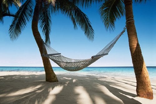 Poster Leere Hängematte am Strand unter Palmen - Größe 61 x 91,5 cm - Maxiposter