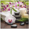 ARTland Wanddeko Glasbilder Wandbild Glas Bild einteilig 40x40 cm Quadratisch Wellness Zen Steine Spa Orchideen Bambus Relax Pink Rosa K3AD