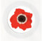 Poppy/Poppies - Fun - Flowers - Car Tax Disc Holder - Reuseable