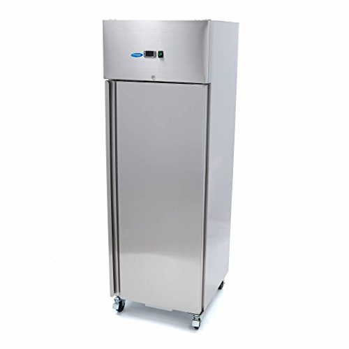 Congélateur de luxe FR 400L SN