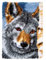 XXXXW DIY Latch Hook Kits Riegelhaken Teppich Kits mit Gedruckter Leinwand for Erwachsene Kinder Häkeln Handarbeit Handwerk Gedruckt Leinwand Wolf Muster Knüpfkissen Set (Size : 40x54cm)