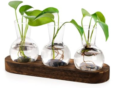Hydroponik Glasvase mit Holz Halter,Avocado Vase Propagation Station Pflanzen Hydroponic Vase Vintage Deko,Pflanzen Im Glas für Wohnzimmer Büro Garten Zuhause Deko,Geschenke für Pflanzenliebhaber