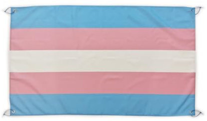Pandiui23 Transgender-Flagge, 150 x 90 cm, für Balkon mit 4 Ösen und 4 Kabelbindern (Pink, White, Light Blue, Baby Blue)