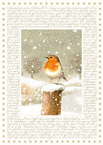 Coppenrath Weihnachten Robin Big Traditioneller deutscher Adventskalender 41 cm breit x 46 cm Glitzer Goldfolie und Band zum Aufhängen