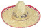 Unique Industries 6587 - Sombrero de Paja para Adultos, 49.9 x 49.9 x 20.3 cm