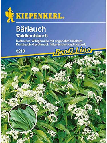 Bärlauch-Saatgut: Bärlauch / Waldknoblauch, Allium ursinum - 1 Portion