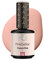 Pink Gellac UV Gel Nagellack - 121 French Pink 15 ml - Lang Anhaltend Shellac Nagellack Rosa - Gel UV für 14 Tage Nägel in Salonqualität - Made in Holland