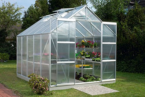Vitavia Gewächshaus Mars - Ausführung: 8300 HKP 4 mm Alu, Fläche: ca. 8,3 m², Fenster: 2, Maße: 257 x 321 cm, Sockel: 255 x 317 cm,
