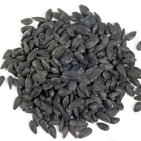 Black Sunflower Seeds 10kg