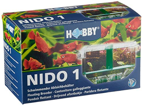 HOBBY Aquaristik Nido 1 I Schwimmender Ablaichkasten mit automatischer Wasserstandsanpassung I Aufzuchtbecken für Jungfische I Ablaichbehälter mit Trennwand für 2 Fische