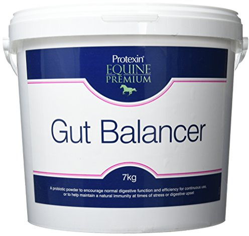 Protexin Equine Gut Balancer, Daily Gut Support, Horse & Pony, 7kg Powder | Probiotic & Prebiotic Everyday Gut Support, Encourages Normal Digestive Function, Dandelion Flavour