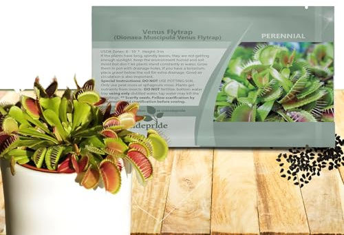 Outsidepride Venus Flytrap Seeds - 10 Pcs Perennial, Unique & Carnivorous, Indoor Plant Seeds for House Plants, Easy to Grow & Low Maintenance, Ideal for Terrariums, Pots, & Non-Winter Hardy Zones
