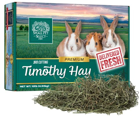 Small Pet Select 3rd Cutting Super Soft Timothy Hay Pet Food for Picky Eaters, Rabbits, Guinea Pigs, and Other Small Animals, Easy to Store Box, 10 LB