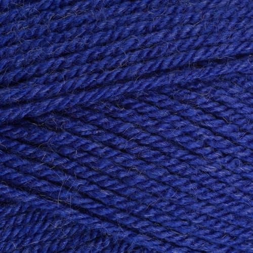 Stylecraft 9041825 Special DK Lobelia (1825) Yarn - 100g
