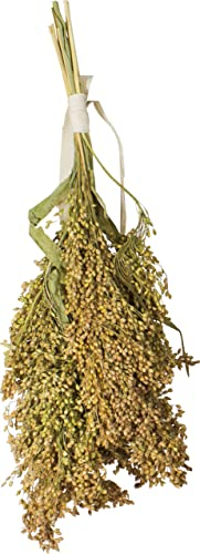 JR FARM Birds Rispenhirse 100 g