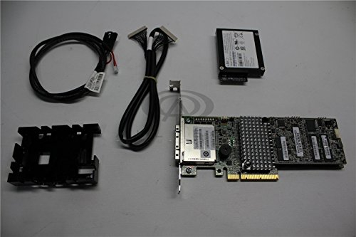Intel RS25SB008 - RS25SB008 PCI Express x8 2.0 6Gbit/s RAID-Controller (RS25SB008)