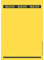 Leitz PC-beschriftbare Rückenschilder selbstklebend für Standard- und Hartpappe-Ordner, 75 Stück, Langes und breites Format, 62 x 285 mm, Papier, gelb, 16870015