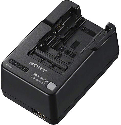 Sony BCQM1 Chargeur intérieur Noir Batteries W/V/M/H/P Série