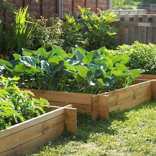 Primrose 200 Litres - The Chamberlain Wooden Raised Grow Bed by Lacewing™ - 100cm² (H20cm)