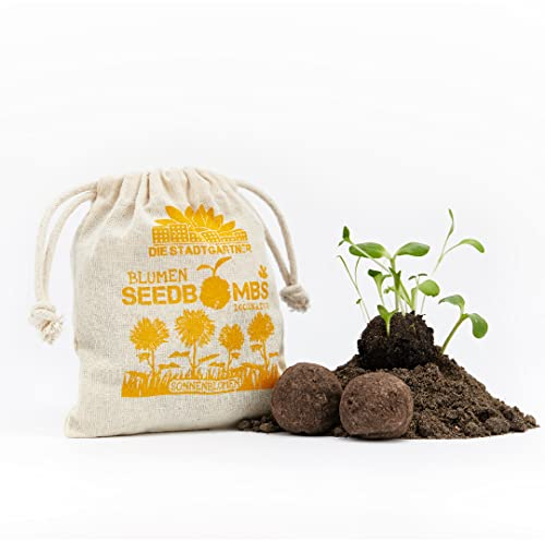 Die Stadtgärtner – Seedbombs „Sonnenblumen“ I 8 handgemachte Samenbomben mit 5 verschiedenen Arten von Sonnenblumen-Saatgut I 100% ökologisch & mindestens 2 Jahre haltbar
