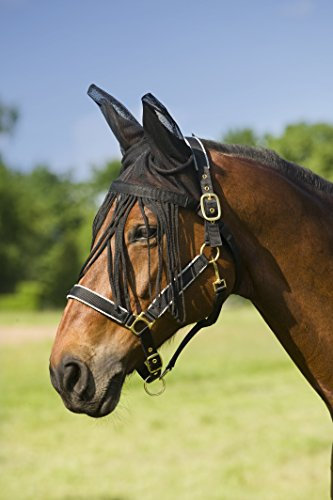 Netzhaube mit Fliegenfransen Ekkia schwarz Pony