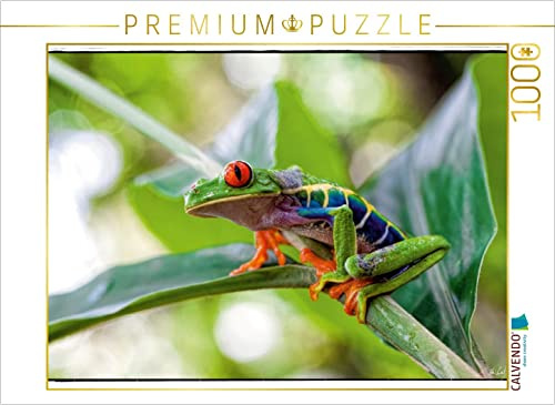 CALVENDO Puzzle Rotaugenlaubfrosch | 1000 Teile Lege-Größe 64 x 48 cm Foto-Puzzle für glückliche Stunden