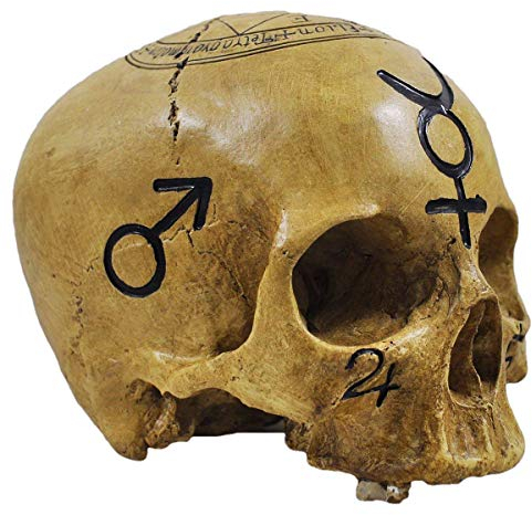Fiesta Studios Totenkopf Hexerei Schädel Dekofigur