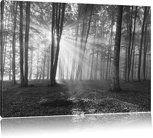 Pixxprint belle forêt avec des rayons de soleil noir/blanc, taille: 120x80 sur toile