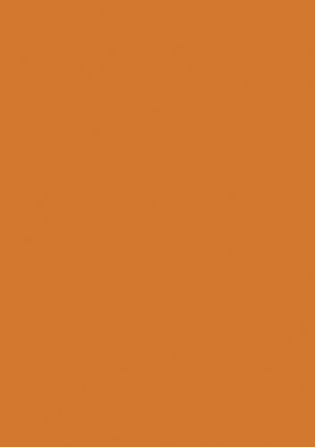 TransparentpapierRl 50x70 orange