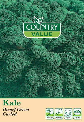 Country Value KALE Dwarf Green Curled Seeds