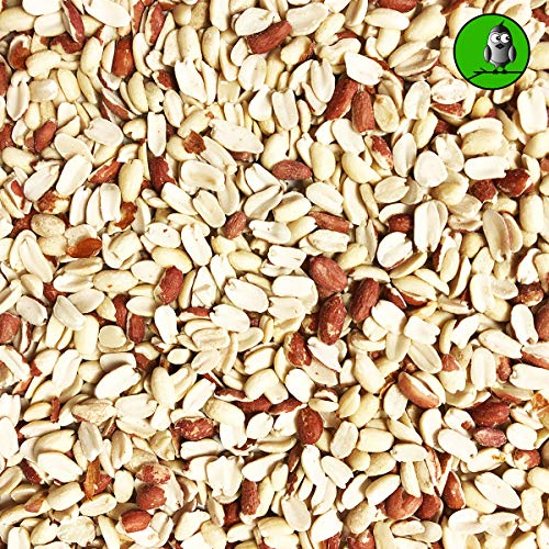 25 KG teilblanchierte Erdnusssplits Erdnüsse Splits Beste Qualität