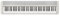 Casio CT-S1-76WE Piano Keyboard mit 76 anschlagdynamischen Tasten und 61 Klangfarben in weiß