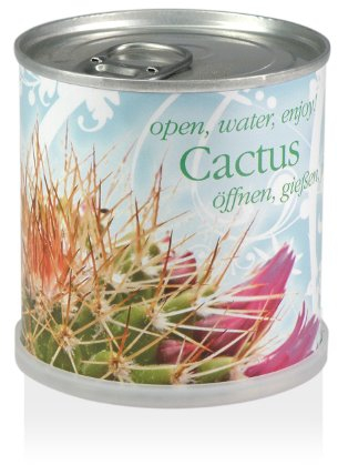 MacFlowers Extragifts Blumen in der Dose - Kaktus - Cactus