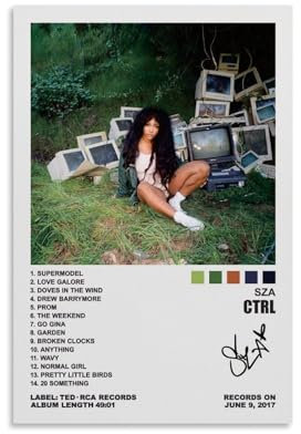 GAOSHI SZA Poster, CTRL-Albumcover, Poster, Wandkunst, Leinwand, Geschenk für Freunde, Schlafzimmer, Wohnzimmer, Dekoration, moderne Ästhetik, 30 x 45 cm, ungerahmt, 3 x 3