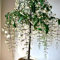 250 piezas semillas de jazmín resistentes - Clerodendrum wallichii - balcón de flores, semillas de bonsái semillas de plantas de jazmín flores de otoño, semillas plantas de interior