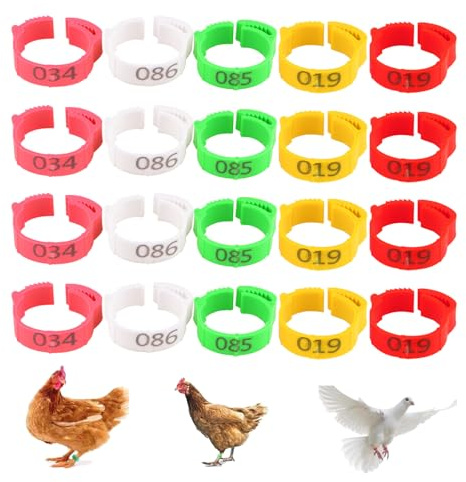 Geflügel Fußringe 100 Stück Hähnchen Beinringe Mehrfarbige Hähnchen Identifikation Beinbänder Nummerierter Clip an Geflügel Beinringen für Gamefowl Truthahn Ente Gans, 5 Farben