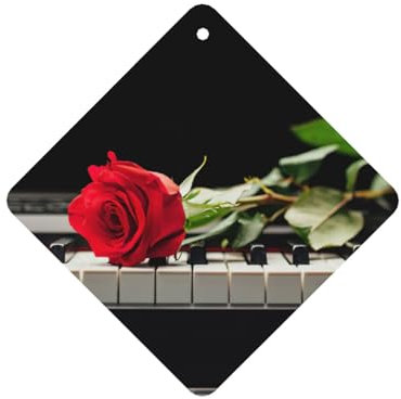 Lot de 10 feuilles désodorisantes parfumées pour voiture avec corde Motif rose rouge sur piano