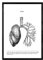 Nacnic Anatomie Poster. Vintage Stil Wanddekoration Abbildung von Lunge, Muskeln und Knochen. Verschiedene menschliche Körper, Biologie und Medizin Bilder ohne Rahmen. Größe A3.