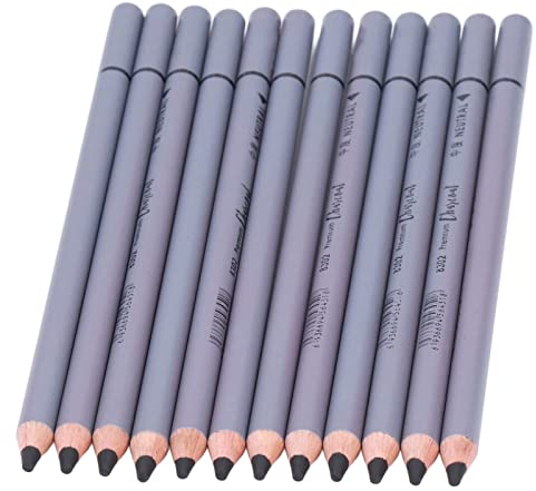 HEEPDD Kohlestifte, Kohlestift-Set Flexible Kohlestifte Zum Detaillierten Zeichnen Zum Malen Zum Skizzieren für Künstler