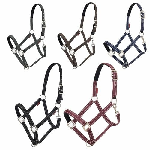 LeMieux Essential Yard Halfter – robustes und langlebiges Nylon-Gurtband – reflektierende Nähte – Neoprenpolsterung – Trigger-Clip Halswimpern – Sicherheitslasche aus Leder – Schwarz – Cob